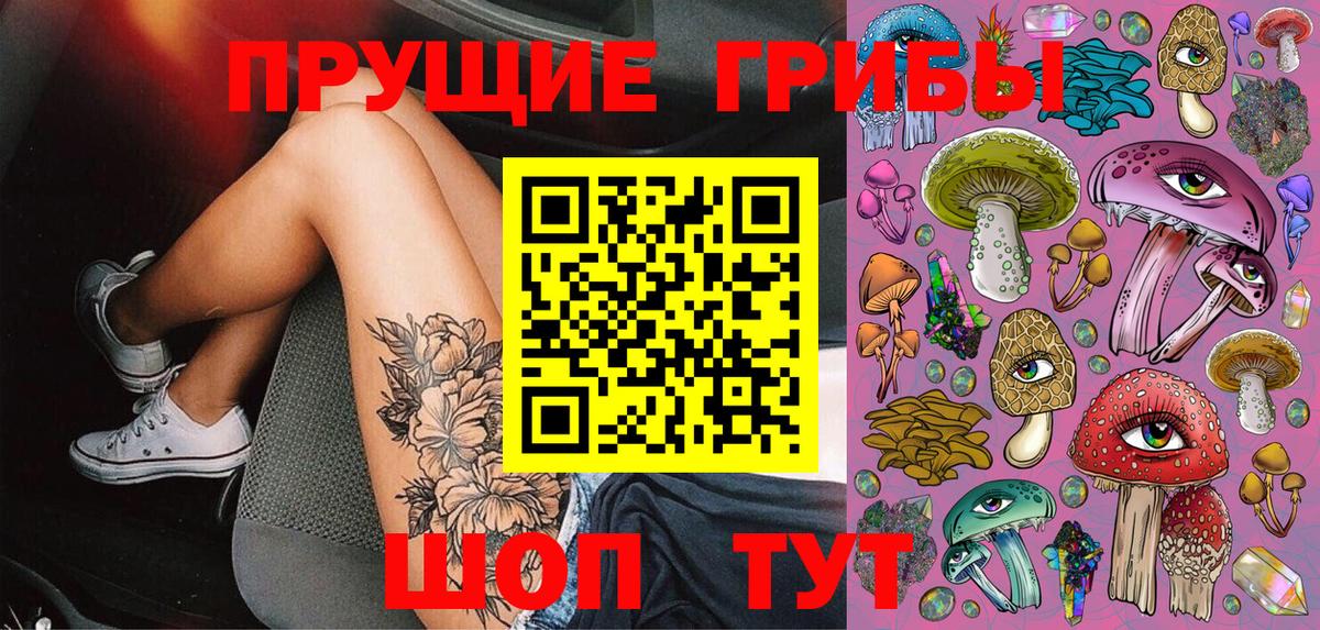 Курганинск  Псилоцибиновые грибы мухоморы  Вход с VPN 